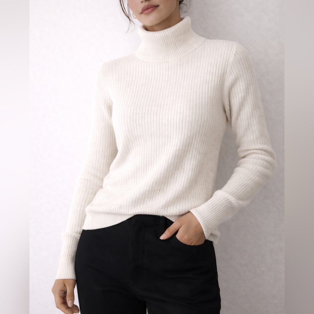 Wilfred Aritzia Merino Wool Ribbed Turtleneck Sweater Quiet Luxury MinimalSize M